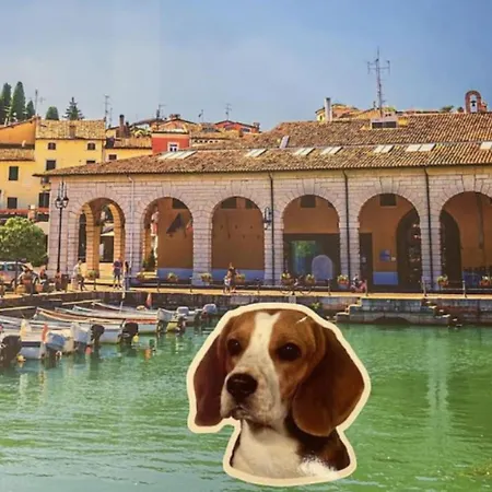 Desenzanoloft Palm Garda Beach, With Garden, Barbecue And Pool